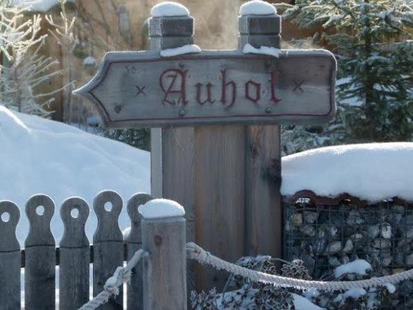 Chalet Auhof פלאכאו מראה חיצוני תמונה